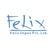 Felix Impex Pvt Ltd logo