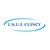 LNUF Cuincy logo