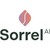 Sorrel AI logo