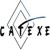 CATEXE - Consultancy and Planning for Special European Transport logo