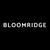Bloomridge logo