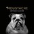Glaces Moustache - Artisan glacier logo