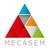 Institut Mecasem logo