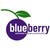 Aberdeen Blueberry Wellness logo