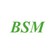 BSM PAINT logo
