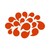 ansrsource logo