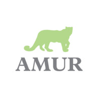 Amur Finance Company logo