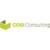 COSI Consulting logo