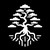 Bonsai Software logo