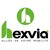 Hexvia logo