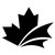 Black Maple Audit, Accounting & Advisory logo