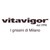 Vitavigor srl logo