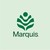 Marquis Health Consulting Services logo