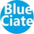 BlueCiate logo