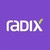 Radix - Global logo