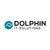 Dolphin IT Solutions logo