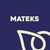 Mateks Food Industry Inc. logo