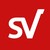 Grupo São Vicente logo