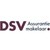 DSV Assurantiemakelaar logo