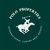 Polo Properties logo