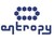 Entropy logo