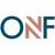 O'Neill Foley logo