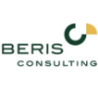 BERIS consulting GmbH logo
