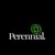 Perennial logo