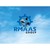 RMAAS GROUP logo
