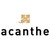 Acanthe logo