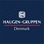 Haugen-Gruppen Denmark logo