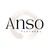 Anso Partners logo
