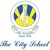 The City School logo