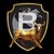 Bullmen Realty India logo