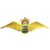 Royal Danish Air Force logo