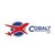 Cobalt Ground Solutions Ltd logo