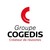 Groupe Cogedis - Comptabilité et conseil aux entreprises logo