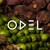 ODEL PLC logo