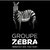 GROUPE ZEBRA logo