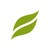 DAVA Foods logo
