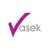 Vasek Insurance logo