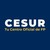 Cesur logo