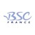 BSC FRANCE - Business Software Consulting logo