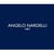 I.T.N. S.p.A. (Angelo Nardelli) logo