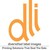 Diversified Label Images, Inc logo