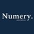 Numery Advisory logo