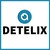 Detelix Software Technologies Ltd logo