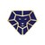 Lions Financial logo