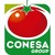 Conesa Group logo