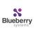 Blueberry Systems Limited logo